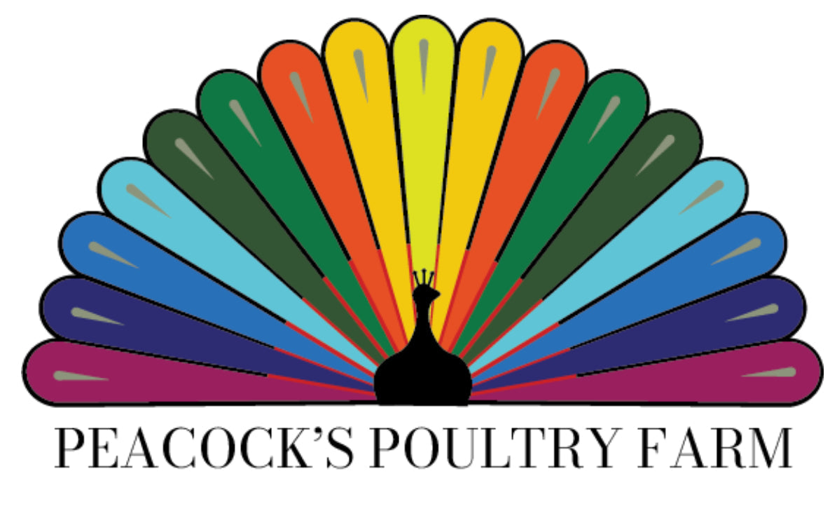 Thanksgiving Pre-Orders