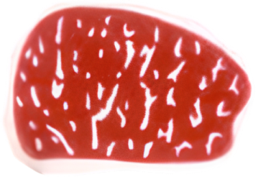 Japanese Wagyu Grading System – Sparrow Meats