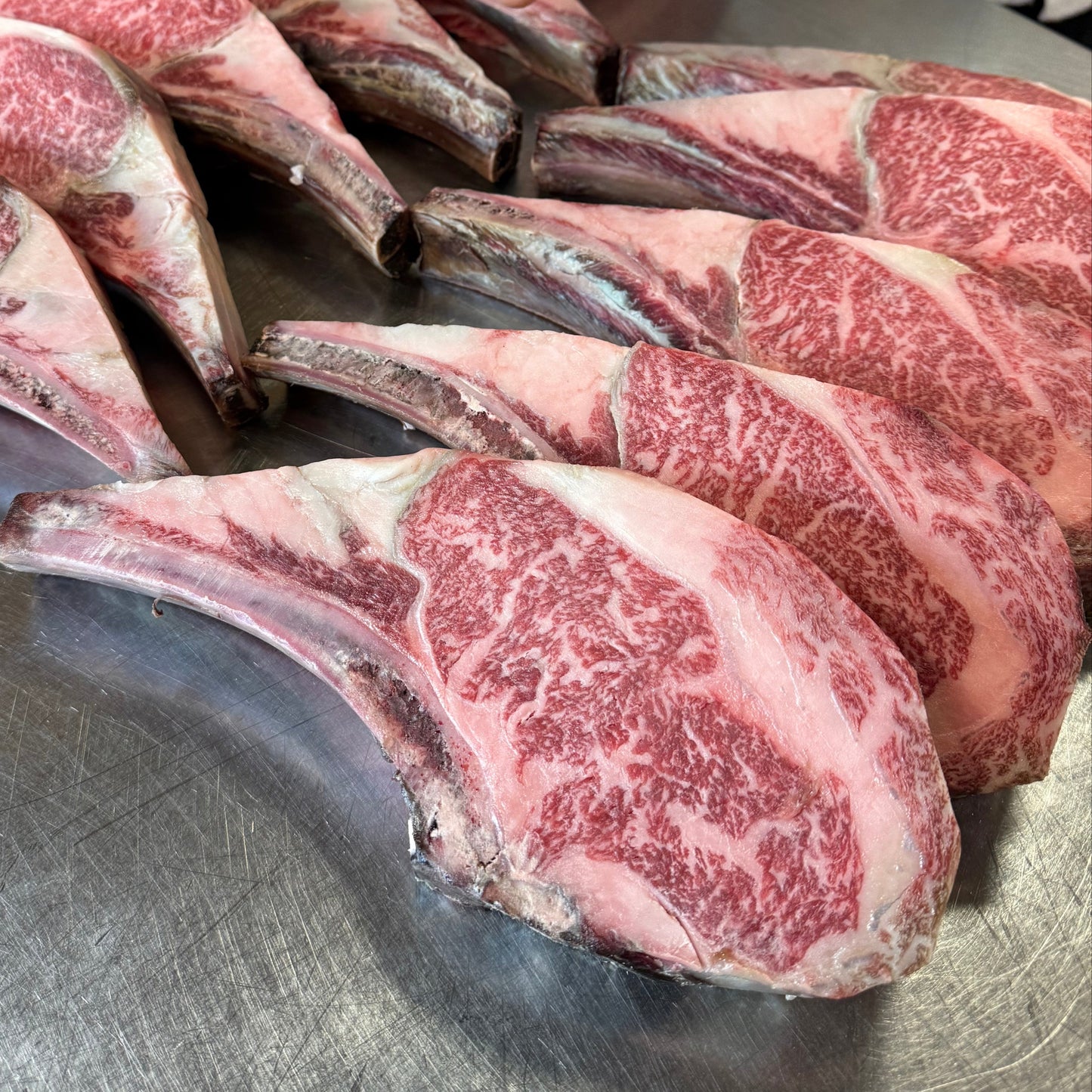 40 Day Dry Aged Bone-In Stone Axe Full Blood Wagyu Ribeye (MB 9+)