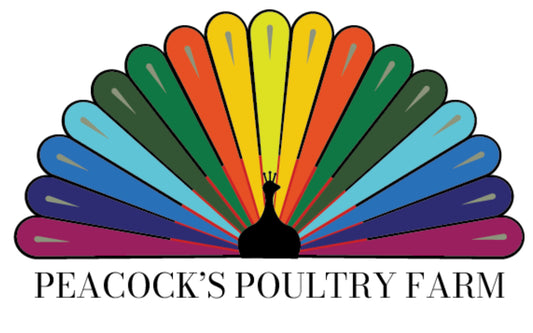 PEACOCKS Fresh BONE-IN Turkey Breast